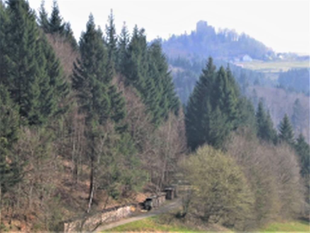 Ferienwohnung Burgblick Seelbach  Exterior foto