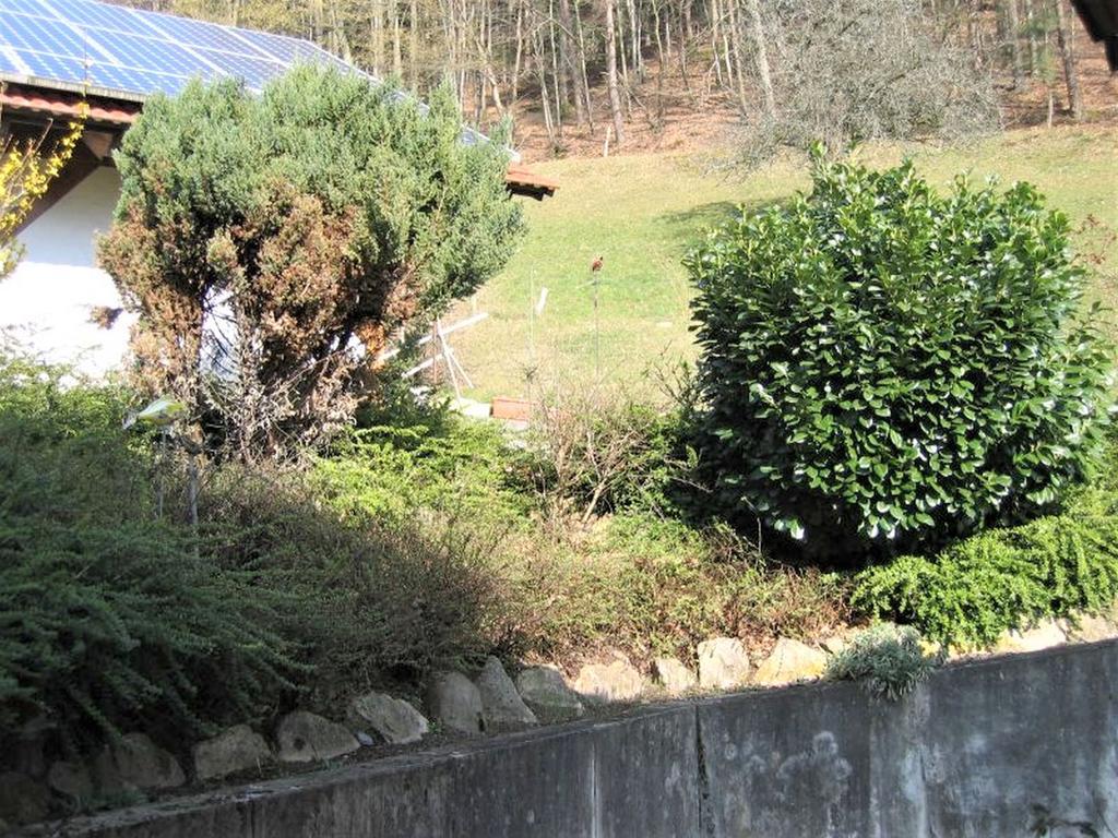 Ferienwohnung Burgblick Seelbach  Exterior foto